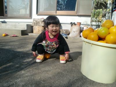 お手伝いのつもり(≧ω≦)b