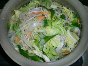 野菜いっぱいの