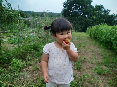 同じなんだけど・・@@
