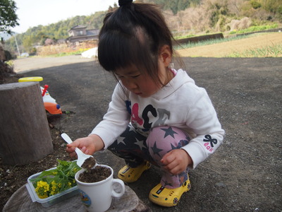 ハゲがある・・・・・・