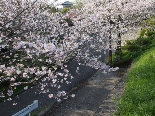 今年はちょっと違う
