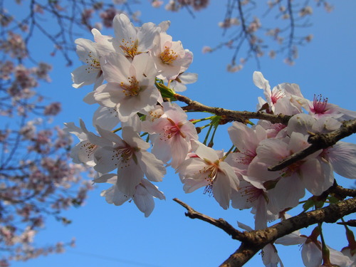 今年はちょっと違う