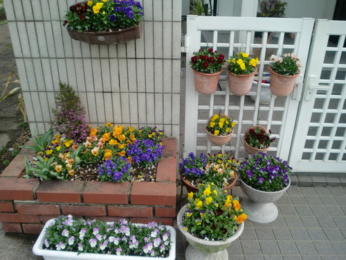 今日も雨か・・・・