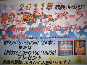 春の紹介キャンペーン・・・