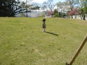 健康的な一日。