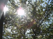 健康的な一日。