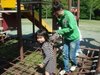 健康的な一日。