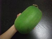 栄養は？？