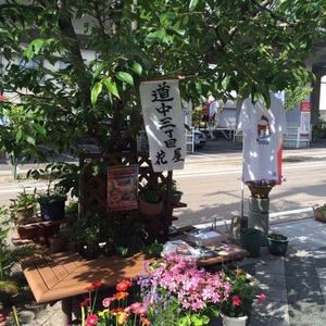 5/15【道半町祭 】ありがとうございました! 5/15【道半町祭 】ありがとうございました!