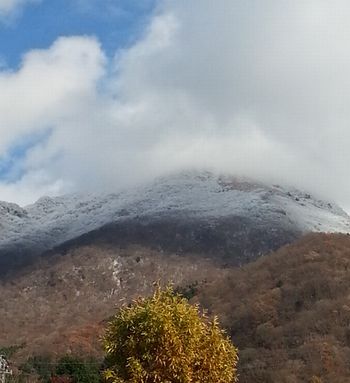 雪化粧が~♪