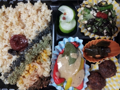 「マクロビ弁当」で出張 .:*・゜