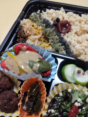「マクロビ弁当」で出張 .:*・゜