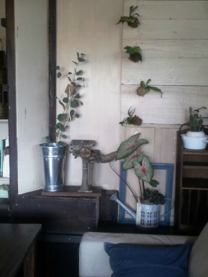 Yadokari cafe　店内風景