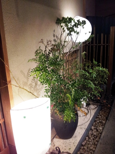 ビオサルーテで夜ご飯しました。