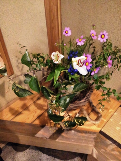 ビオサルーテで夜ご飯しました。