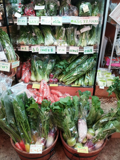 野菜たっぷりの巾着ご飯