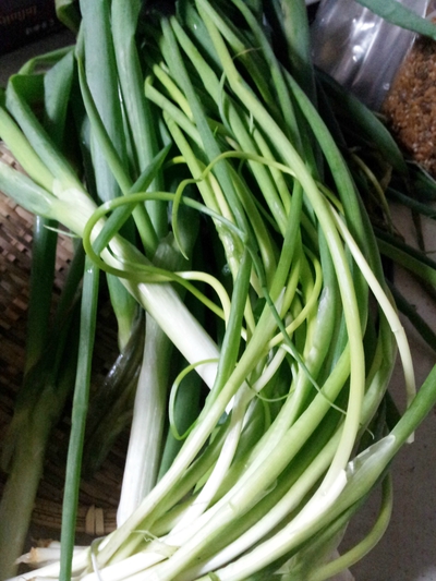野菜たっぷりの巾着ご飯