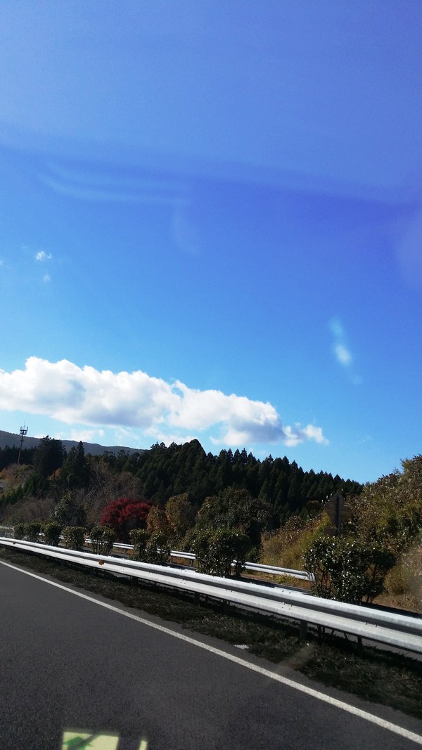 高野豆腐