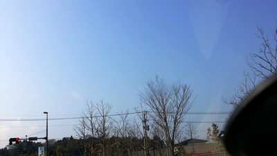 徒然なるままに･･･巾着飯から切り干し大根まで