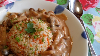 超簡単！「しめじストロガノフ」