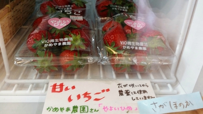 予想以上に卵みたいですよ「ベジオムレツ」