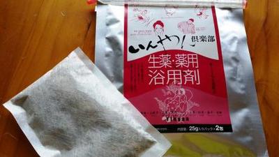 昨日は暖かかったですね