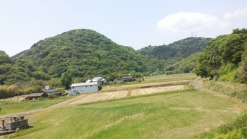 久々のソニック