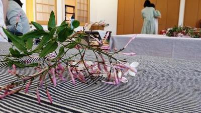天然酵母さんのshop&cafe そして私は半断食ダイエット7日目 天然酵母さんのshop&cafe そして私は半断食ダイエット7日目