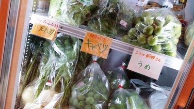 カビない梅干 カビない梅干