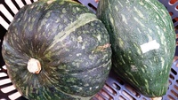 鶴亀の新鮮野菜たち