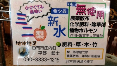 秋の味覚＆マクロビ弁当再開