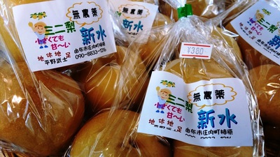 秋の味覚＆マクロビ弁当再開