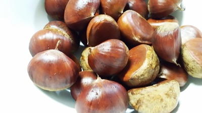 お忘れ物ですﾖ～(^^)＆はたけ