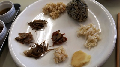 体質の見分け方と体質に合わせた食事法（リマ2014.秋、大分上級７）