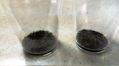 「お水の飲み方選び方」セミナー