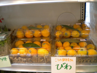 今日の鶴亀は。。。