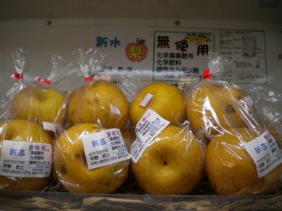 秋の味覚