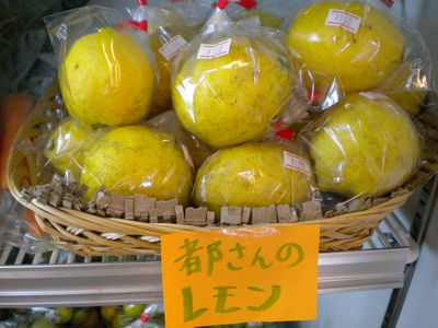 大きなレモン