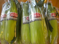 新鮮野菜（*^_^*）