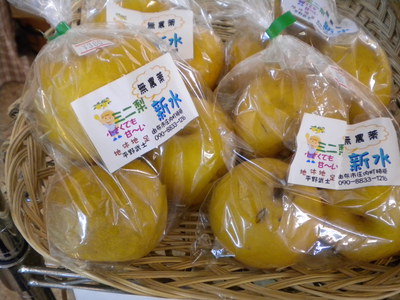 新商品