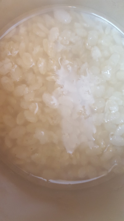 好評で、残り僅か、2週間位お待ち下さい。玄米焼き米。