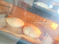 ピタパン 2021/06/28 22:03:59