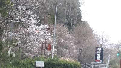 平田シェフのお菓子 平田シェフのお菓子