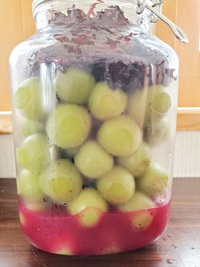 うめしごと 2021/05/28 19:16:51