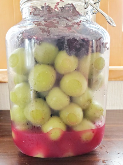 梅干しを漬けませんか 梅干しを漬けませんか