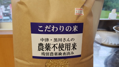 ベジハンバーグ弁当、できましたよ～