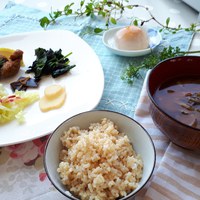 スタッフの勉強会をしました。 2019/06/10 18:15:08