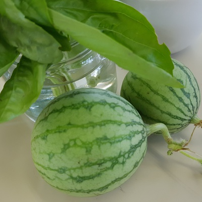 ✳玄米がゆ✳胡麻無双✳切り干し大根の煮付け✳おはぎ ✳玄米がゆ✳胡麻無双✳切り干し大根の煮付け✳おはぎ