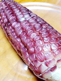 夜ご飯はプチプチの「モチトウキビ」でした。 2021/08/30 09:45:25