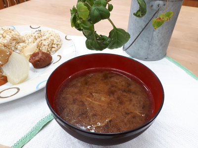 #ワンコインクッキング #玄米ご飯の美味しい炊き方 #ワンコインクッキング #玄米ご飯の美味しい炊き方